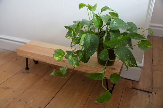 Low Ash Table
